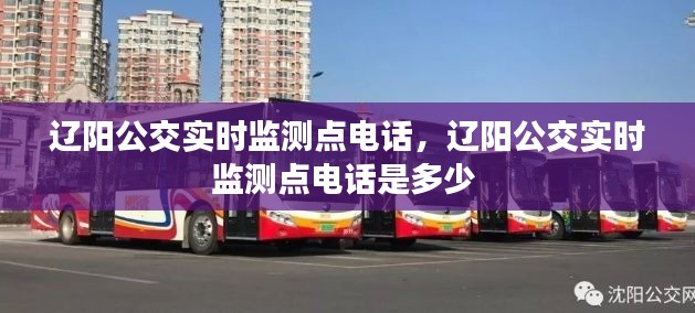 辽阳公交实时监测点电话，辽阳公交实时监测点电话是多少 