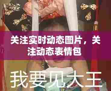 关注实时动态图片，关注动态表情包 