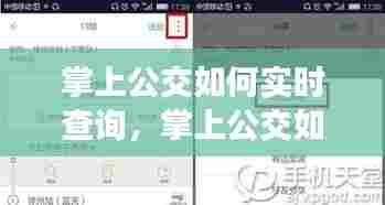 纲挈目张 第6页