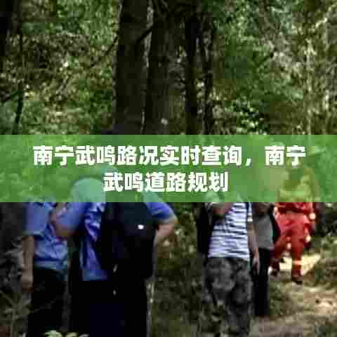 二手车交易 第379页