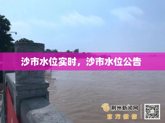 司空见惯 第7页