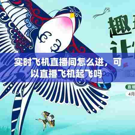 实时飞机直播间怎么进，可以直播飞机起飞吗 