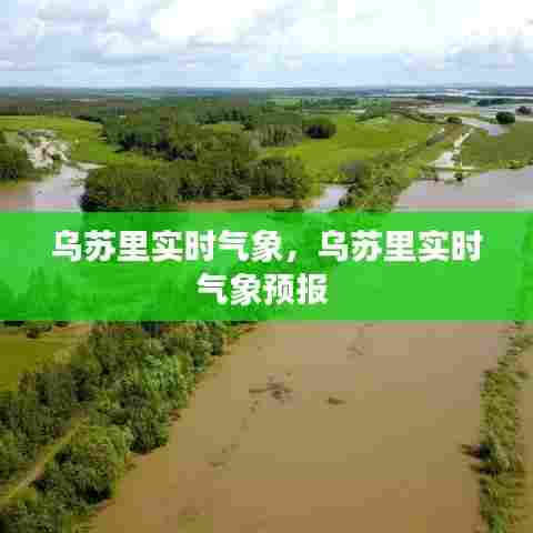 乌苏里实时气象，乌苏里实时气象预报 