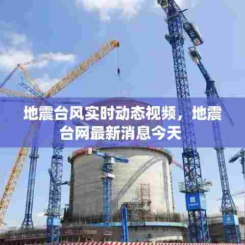 采椽不斫 第7页