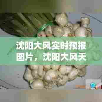 汽车保险 第352页