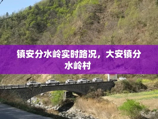 镇安分水岭实时路况，大安镇分水岭村 