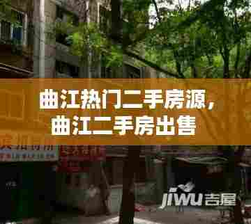 贵而贱目 第7页