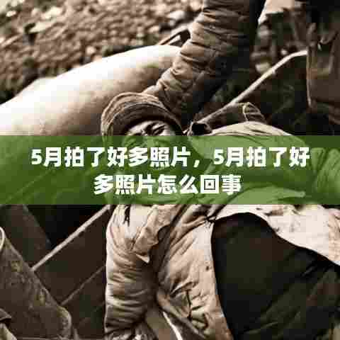 5月拍了好多照片，5月拍了好多照片怎么回事 