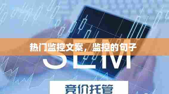 热门监控文案，监控的句子 