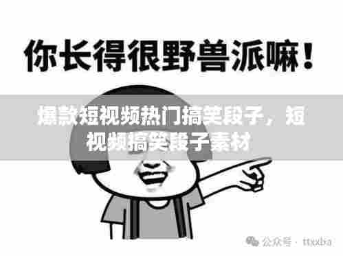 爆款短视频热门搞笑段子，短视频搞笑段子素材 