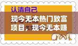 现今无本热门致富项目，现今无本赚钱的好项目 