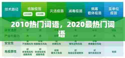 2010热门词语，2020最热门词语 