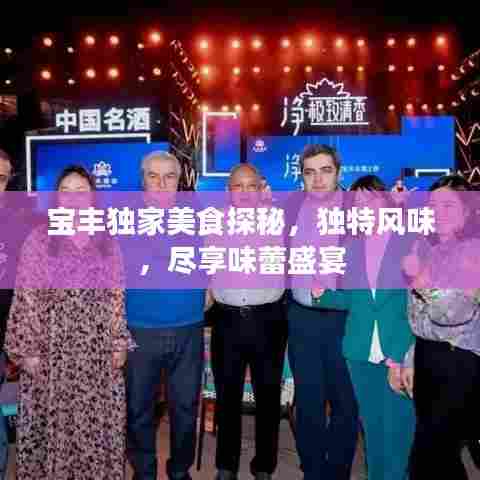 宝丰独家美食探秘，独特风味，尽享味蕾盛宴