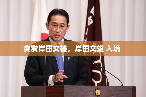突发岸田文雄，岸田文雄 入境 
