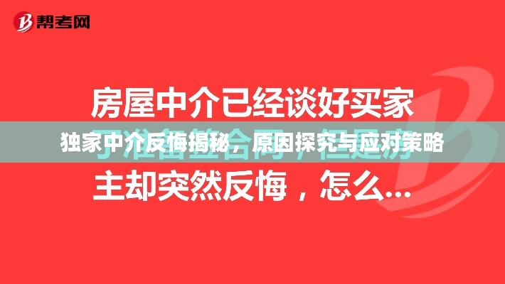 独家中介反悔揭秘，原因探究与应对策略