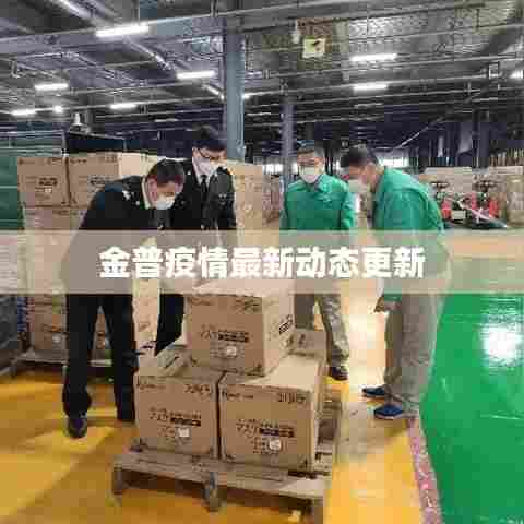 金普疫情最新动态更新