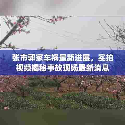 鸟啼花怨 第6页