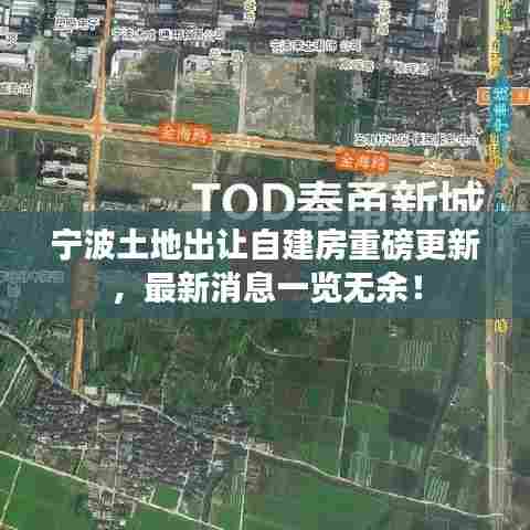 宁波土地出让自建房重磅更新，最新消息一览无余！