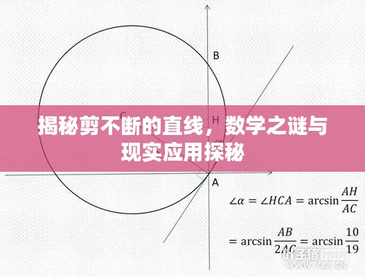 揭秘剪不断的直线，数学之谜与现实应用探秘