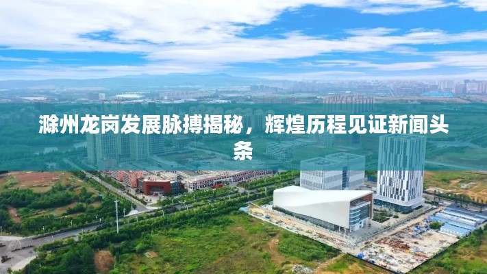 云屯鸟散 第7页