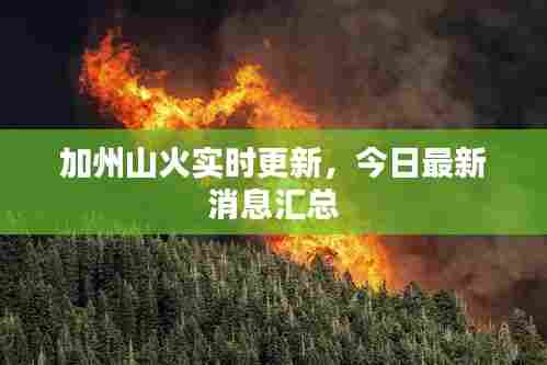 加州山火实时更新，今日最新消息汇总