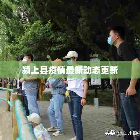 颍上县疫情最新动态更新