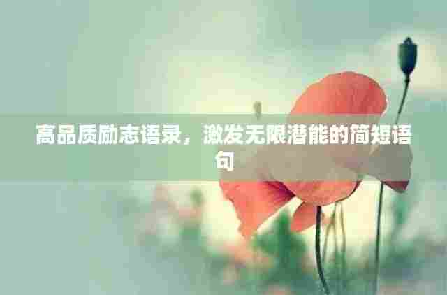 高品质励志语录，激发无限潜能的简短语句