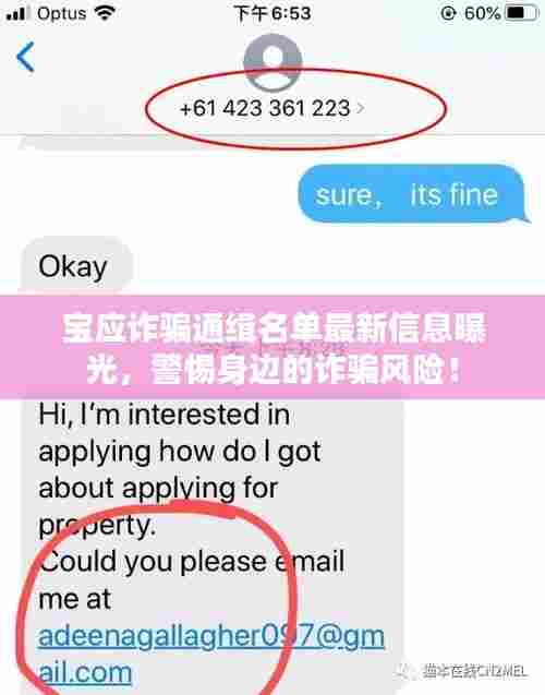 宝应诈骗通缉名单最新信息曝光，警惕身边的诈骗风险！