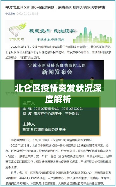 北仑区疫情突发状况深度解析