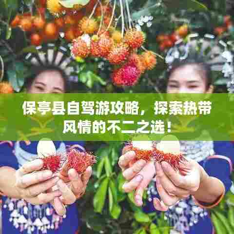 保亭县自驾游攻略，探索热带风情的不二之选！