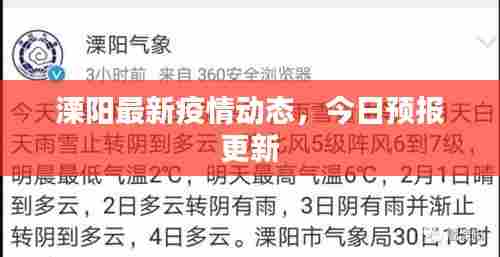 不翼而飞 第5页