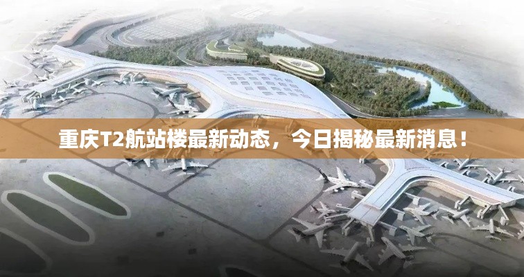 改弦易张 第6页