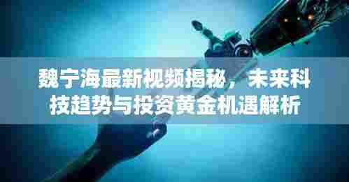 魏宁海最新视频揭秘，未来科技趋势与投资黄金机遇解析
