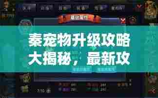 秦宠物升级攻略大揭秘，最新攻略助你轻松升级宠物伴侣！