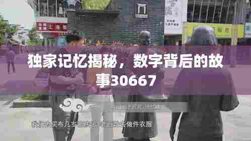 独家记忆揭秘，数字背后的故事30667
