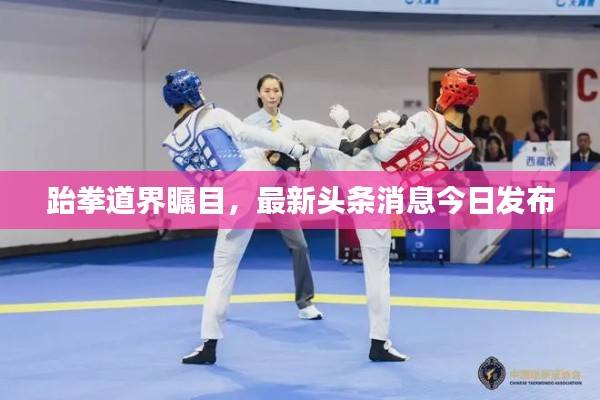 跆拳道界瞩目，最新头条消息今日发布