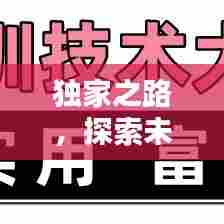 独家之路，探索未知领域，引领时代前沿