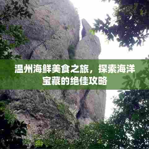 温州海鲜美食之旅，探索海洋宝藏的绝佳攻略