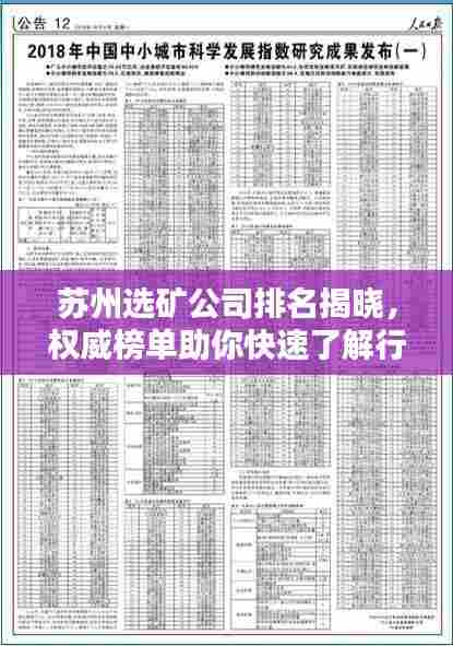 苏州选矿公司排名揭晓，权威榜单助你快速了解行业佼佼者