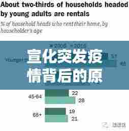 宣化突发疫情背后的原因深度解析