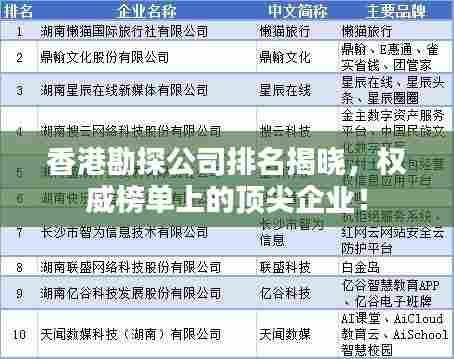 香港勘探公司排名揭晓，权威榜单上的顶尖企业！