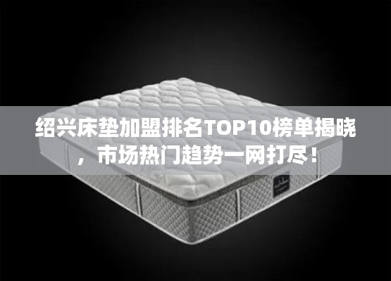 绍兴床垫加盟排名TOP10榜单揭晓，市场热门趋势一网打尽！