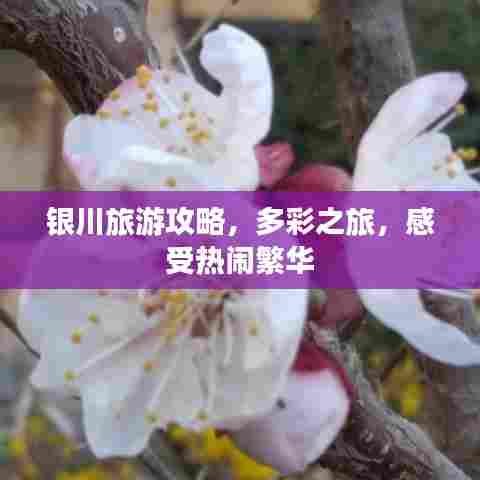 银川旅游攻略，多彩之旅，感受热闹繁华