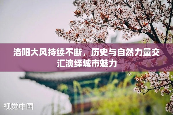 洛阳大风持续不断，历史与自然力量交汇演绎城市魅力