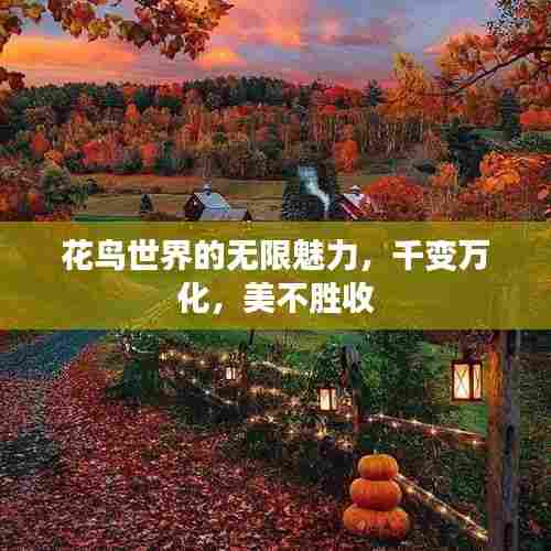 回眸最初 第5页