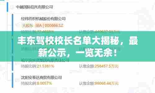 丰东驾校校长名单大揭秘，最新公示，一览无余！