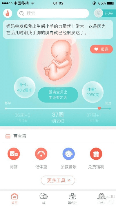 荣耀6哪个系统版本好与宝宝孕树官方下载,可靠设计策略执行|增强版_v2.383