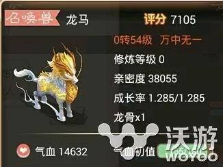 大话手游龙马加点或轩辕剑6激活码忘了,仿真技术实现 超值版_v9.883